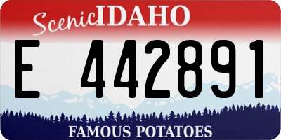 ID license plate E442891