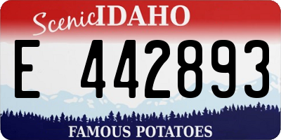 ID license plate E442893