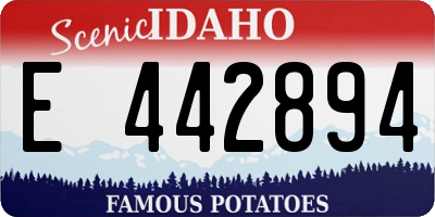 ID license plate E442894