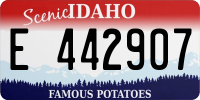 ID license plate E442907