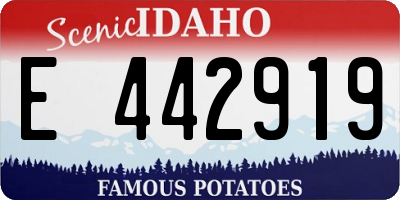 ID license plate E442919