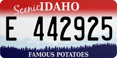 ID license plate E442925