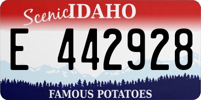 ID license plate E442928