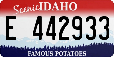 ID license plate E442933