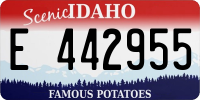 ID license plate E442955