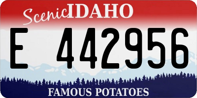ID license plate E442956