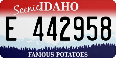 ID license plate E442958