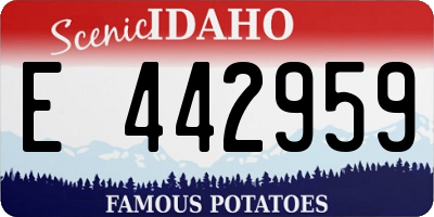 ID license plate E442959
