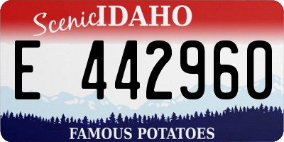 ID license plate E442960