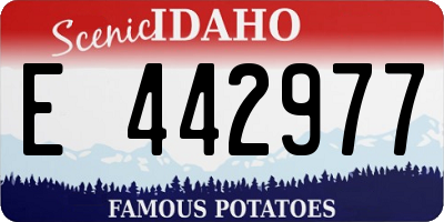 ID license plate E442977