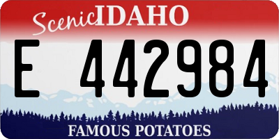 ID license plate E442984