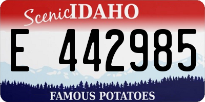 ID license plate E442985