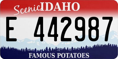 ID license plate E442987