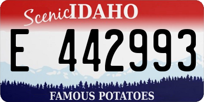 ID license plate E442993