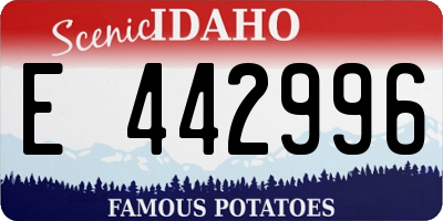 ID license plate E442996