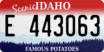 ID license plate E443063
