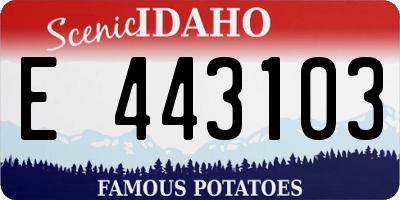 ID license plate E443103
