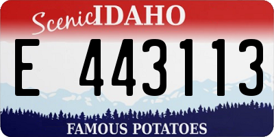 ID license plate E443113