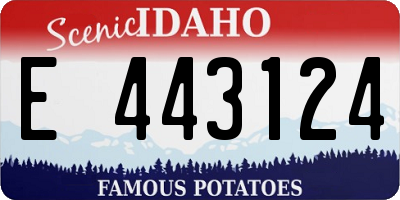 ID license plate E443124