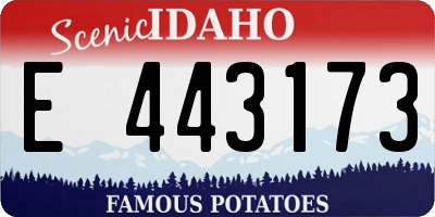 ID license plate E443173
