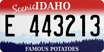ID license plate E443213