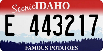 ID license plate E443217