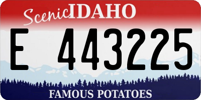 ID license plate E443225