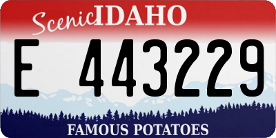 ID license plate E443229