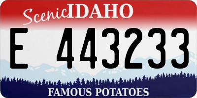 ID license plate E443233