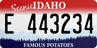 ID license plate E443234
