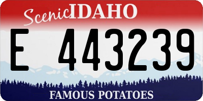 ID license plate E443239