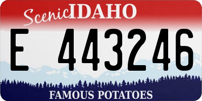 ID license plate E443246
