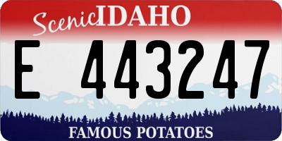 ID license plate E443247