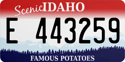 ID license plate E443259