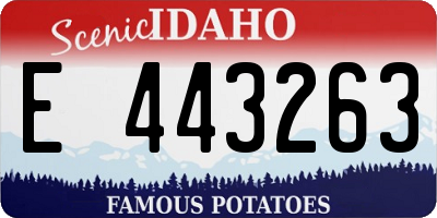 ID license plate E443263