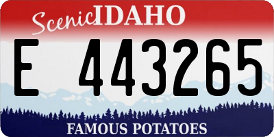 ID license plate E443265