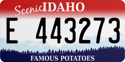 ID license plate E443273