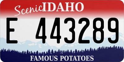 ID license plate E443289