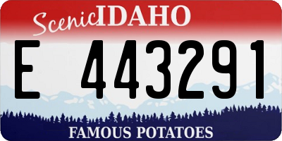 ID license plate E443291