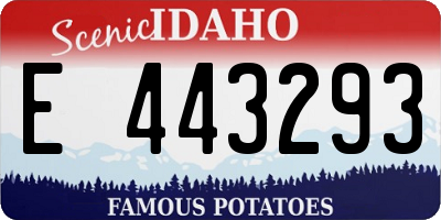 ID license plate E443293