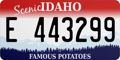 ID license plate E443299