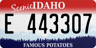 ID license plate E443307