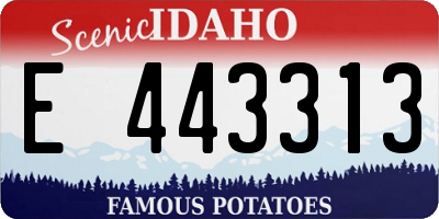 ID license plate E443313