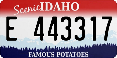 ID license plate E443317