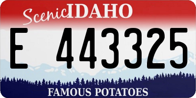 ID license plate E443325