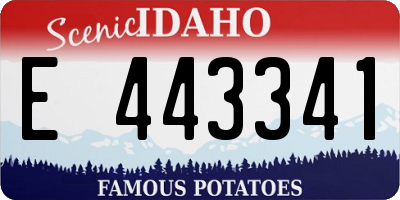 ID license plate E443341