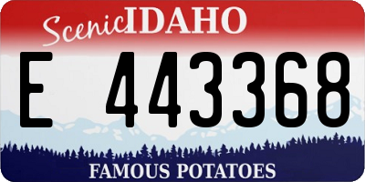 ID license plate E443368