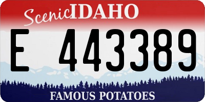 ID license plate E443389
