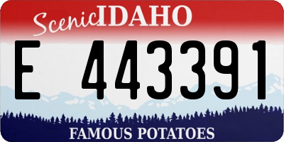 ID license plate E443391