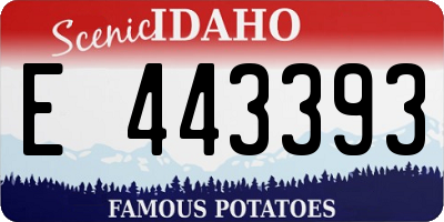 ID license plate E443393